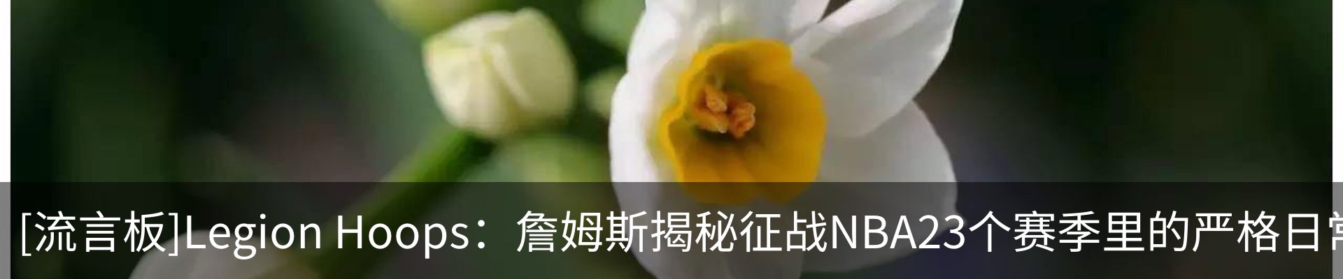 资讯动态